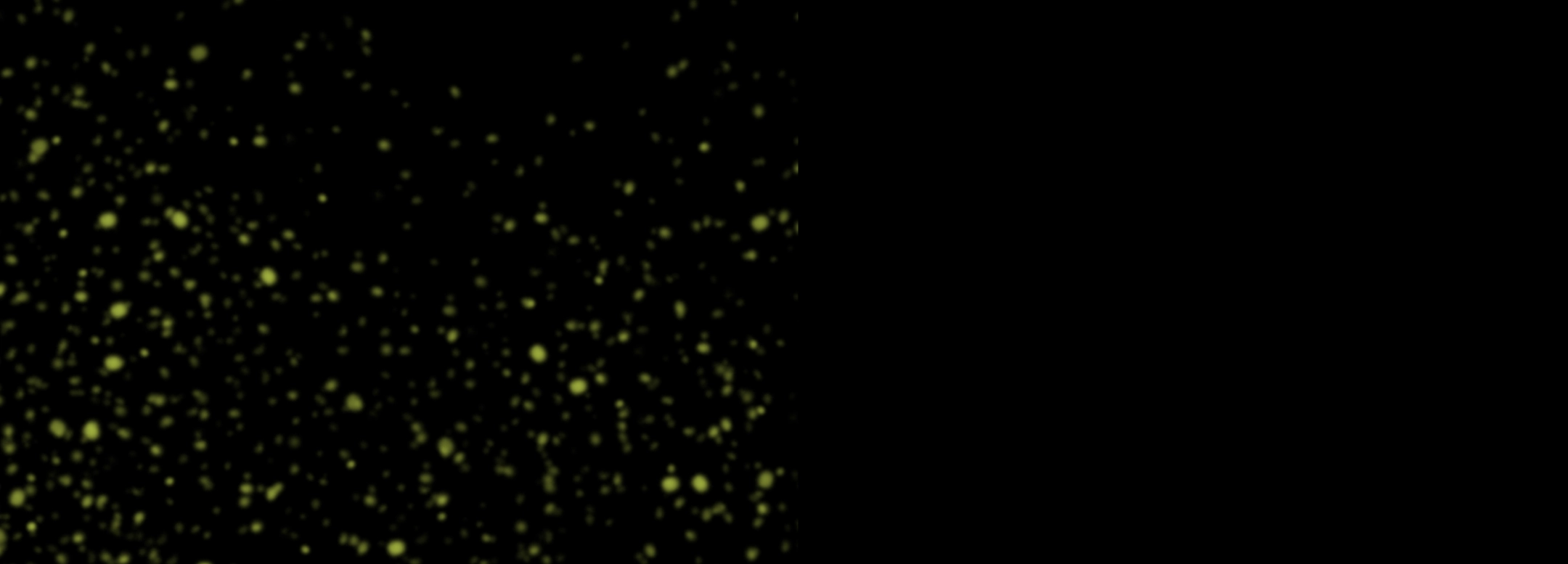 Decorative Background